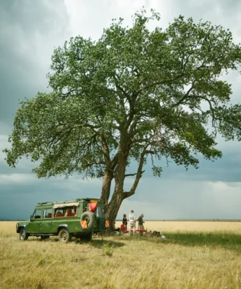 spekes camp mara kenya yellow zebra safaris