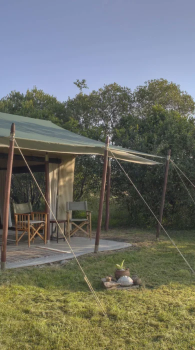 encounter mara room exterior kenya yellow zebra safaris
