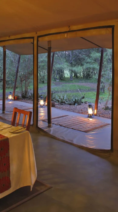 encounter mara dining kenya yellow zebra safaris