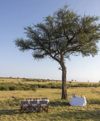 Bush Dining, Greater Mara, Saruni Eagle View, Kenya