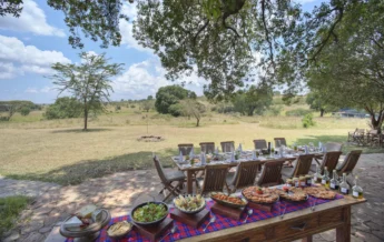 Bush Breakfast, Kicheche Mara, Greater Mara Conservancies, Kenya