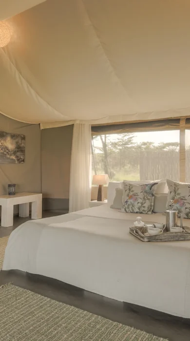 Bedroom, Kicheche Bush Camp, Greater Mara Conservancies, Kenya