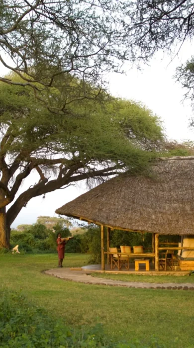 Tortilis Camp Tent Exterior