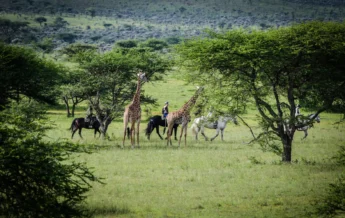 Horseriding, OI Donyo Lodge, Amboseli, Kenya