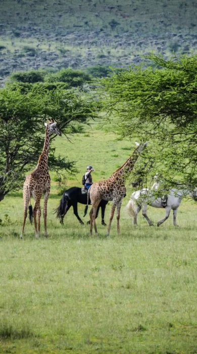 Horseriding, OI Donyo Lodge, Amboseli, Kenya