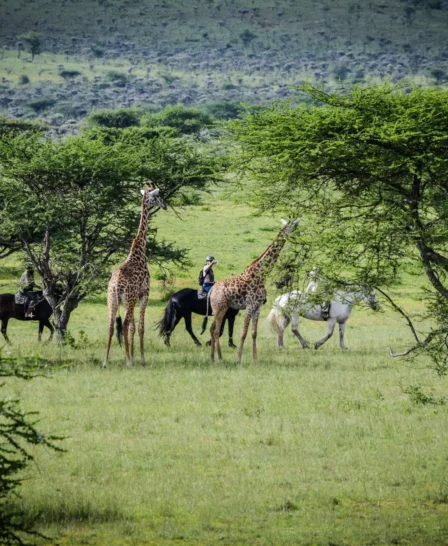 Horseriding, OI Donyo Lodge, Amboseli, Kenya