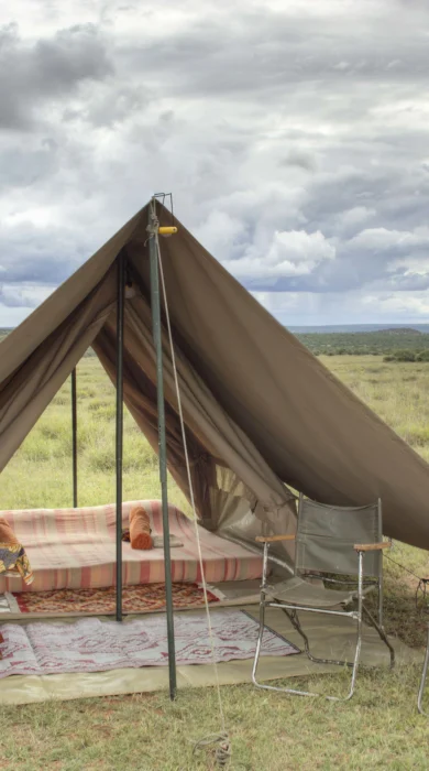 karisia walking safaris tent double bed yellow zebra safaris