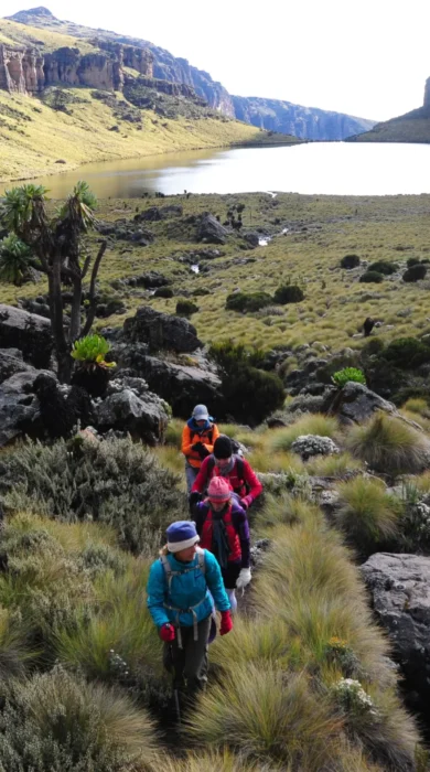 karisia walking safaris mount kenya walking lake yellow zebra safaris