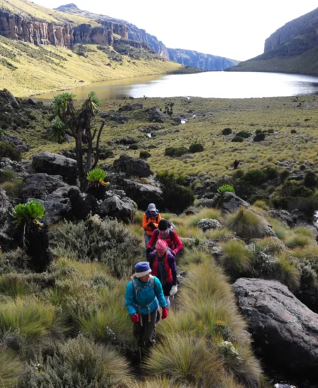 karisia walking safaris mount kenya walking lake yellow zebra safaris
