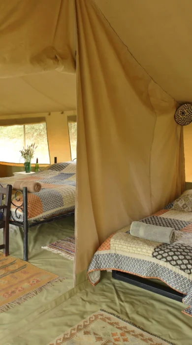 karisia tumaren camp family tent yellow zebra safaris