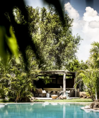 Safari pool