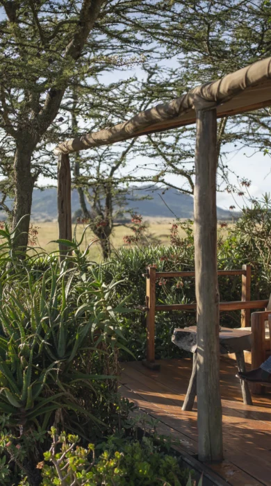 enasoit tent decking kenya yellow zebra safaris
