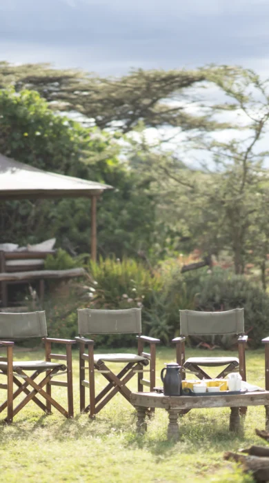 enasoit camp kenya yellow zebra safaris