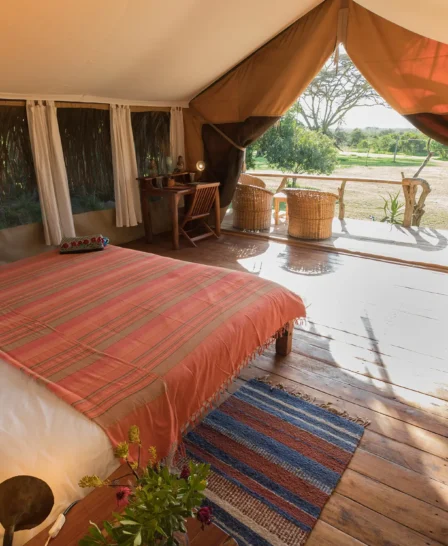 safari lodge room