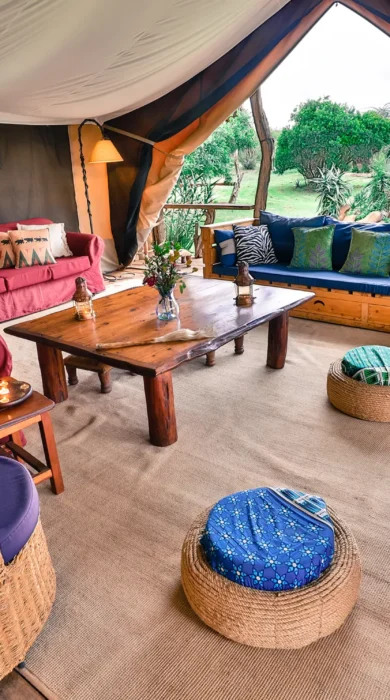 safari living area