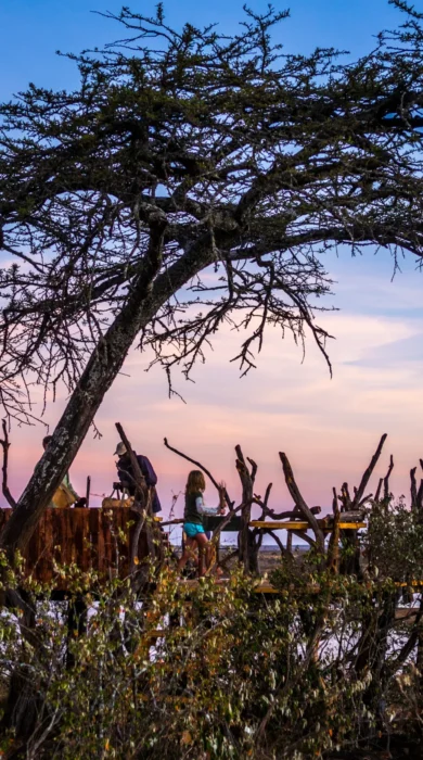 Kenya safari
