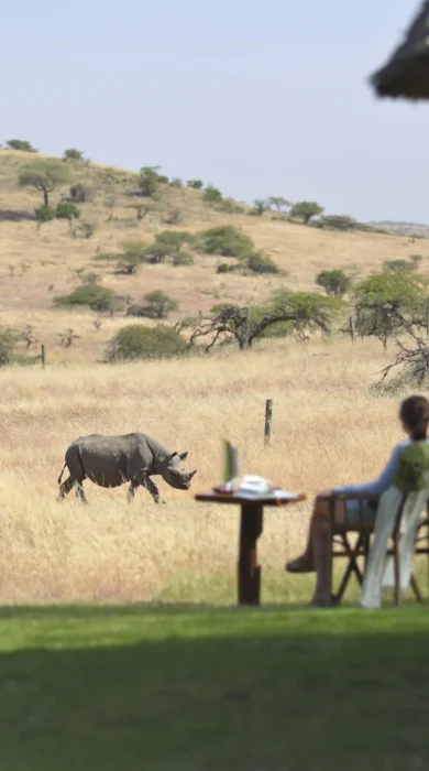 Breakfast with rhinos