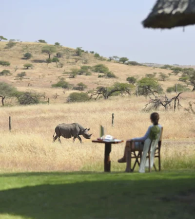 Breakfast with rhinos