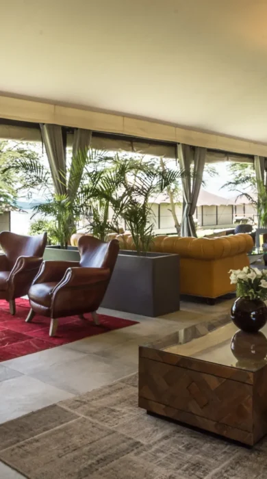 the cliff bar lounge kenya yellow zebra safaris