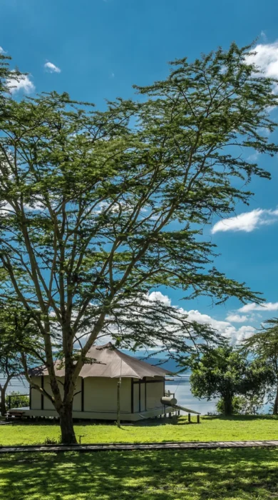 the cliff guest tents kenya yellow zebra safaris