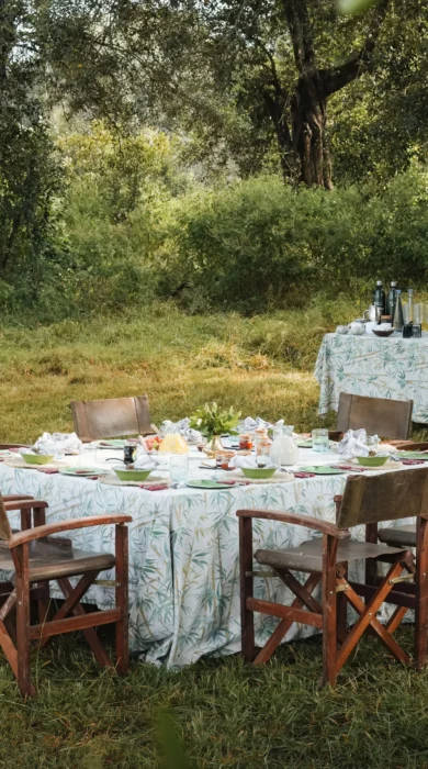 Bush Breakfast, Lengishu, Lewa Borana Landscape, Kenya