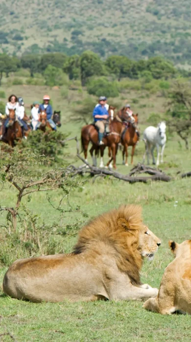 offbeat riding safaris lions kenya yellow zebra safaris
