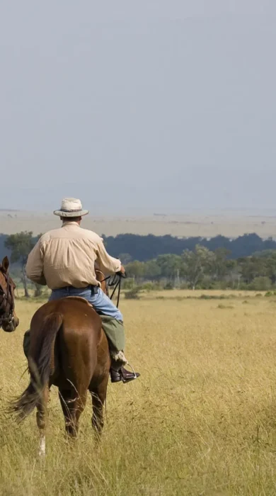 offbeat riding safaris giraffe kenya yellow zebra safaris