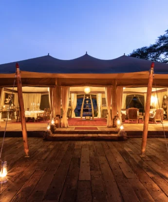 mara nyika kenya night view yellow zebra safaris