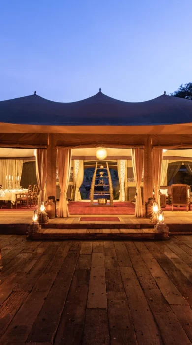 mara nyika kenya night view yellow zebra safaris
