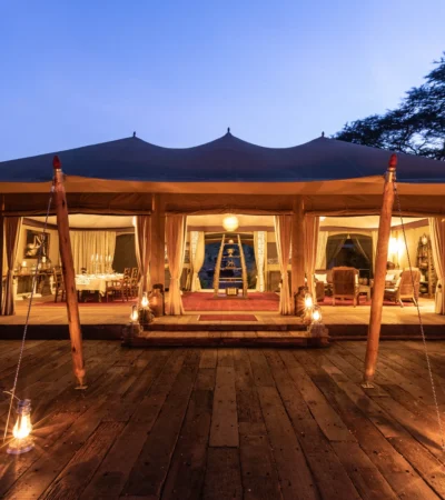 mara nyika kenya night view yellow zebra safaris