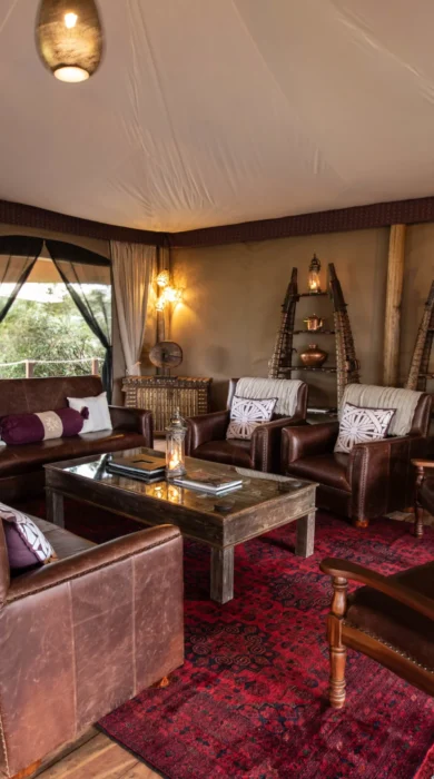 mara nyika kenya main area yellow zebra safaris