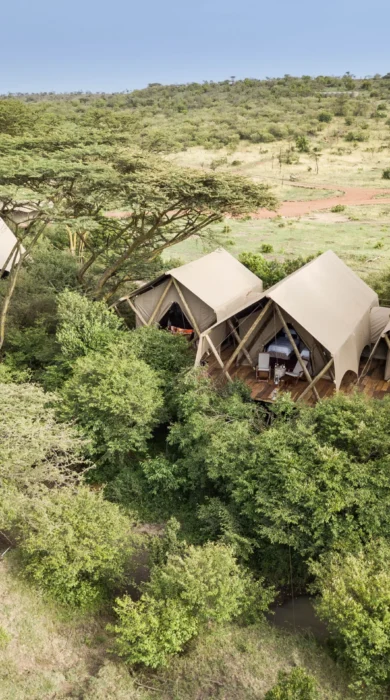 mara nyika kenya aerial yellow zebra safaris