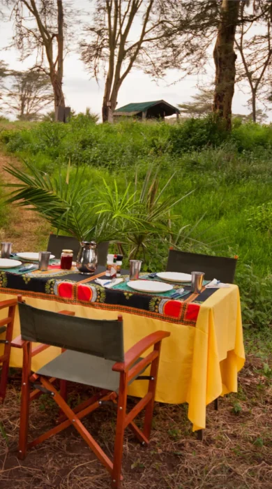 meru wilderness camp kenya outside dining yellow zebra safaris