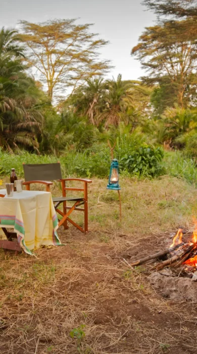 meru wilderness camp kenya fire yellow zebra safaris