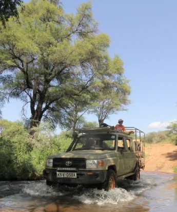 meru wilderness camp kenya river crossing yellow zebra safaris