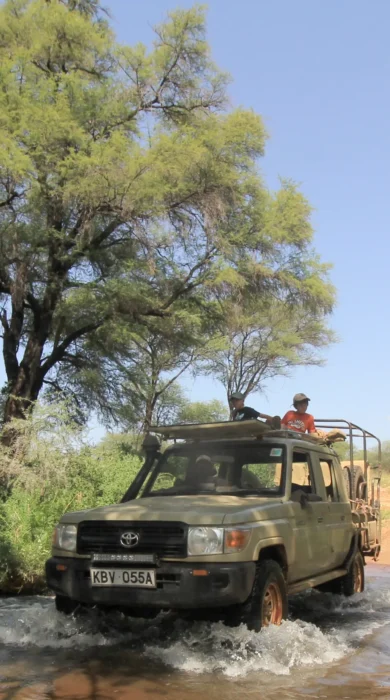 meru wilderness camp kenya river crossing yellow zebra safaris