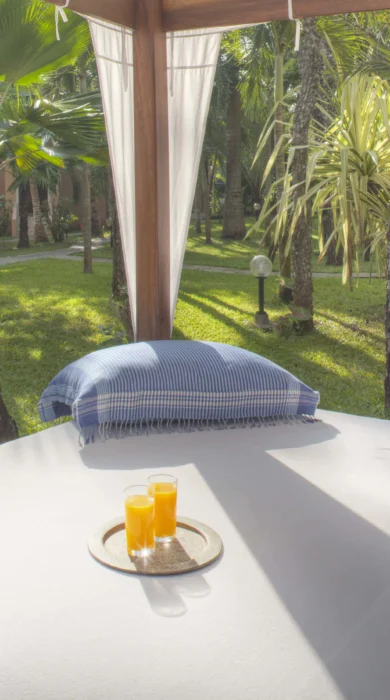 Almanara villas garden kenya yellow zebra safaris
