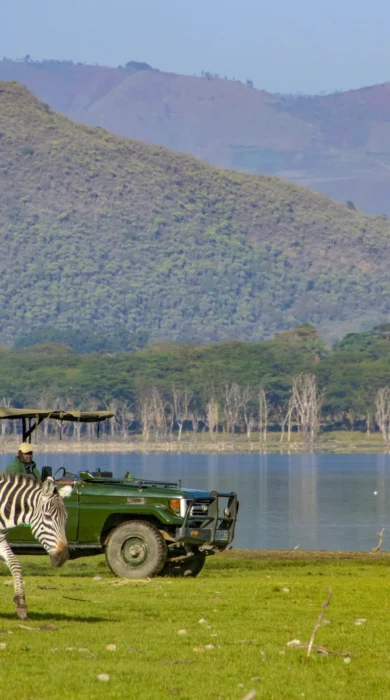 chui lodge game drive lake kenya yellow zebra safaris