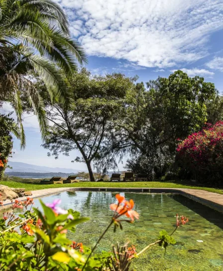 kiangazi house double pool kenya yellow zebra safaris
