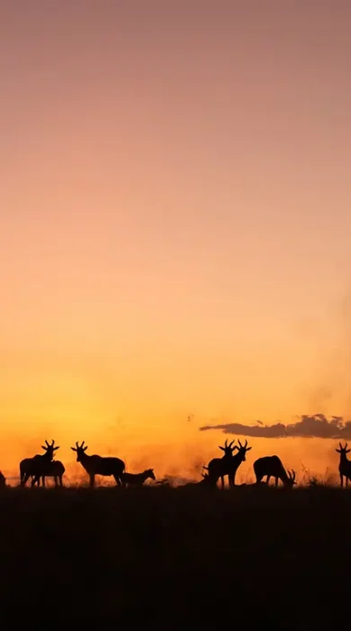 sunset, mara toto camp, maasai mara, Kenya