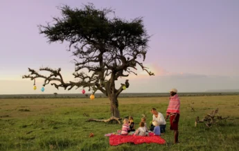 bush picnic, mara bush houses, maasai mara, kenya