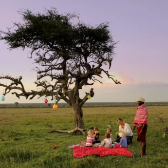 bush picnic, mara bush houses, maasai mara, kenya