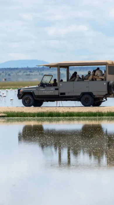Game Drive, Angama Amboseli, The Chyulu Hills, Kenya