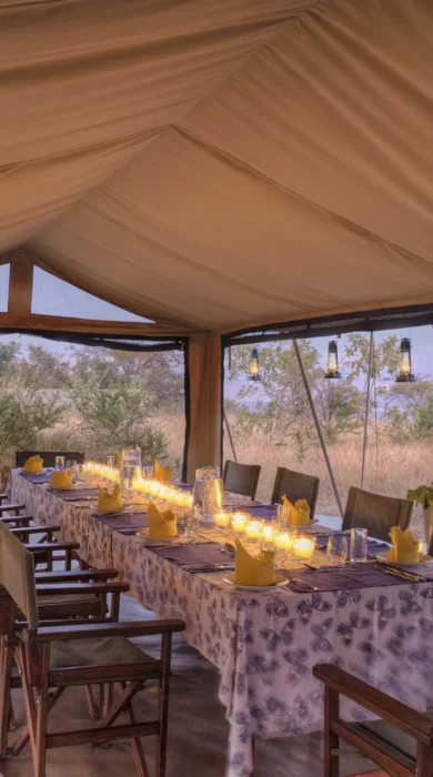 Dining, Roca River Camp, Maasai Mara, Kenya