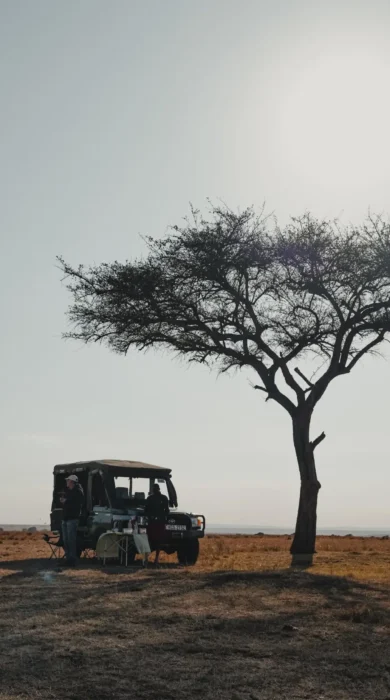Game Drive, Roca River Camp, Maasai Mara, Kenya