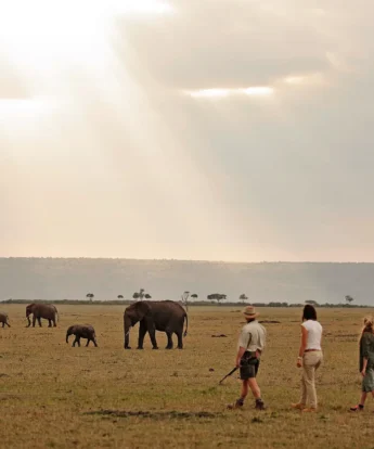 Walking safaris in the Mara, Kenya holidays