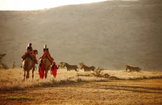 Horse riding safaris, Lewa borana, kenya vacations