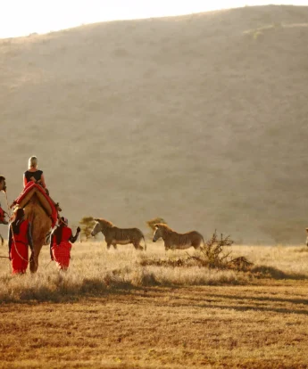 Horse riding safaris, Lewa borana, kenya vacations