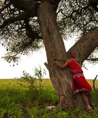maasai people, Amboseli and Chyulu national park, kenya