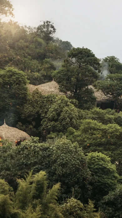 Suites, Wilderness Bisate, Volcanoes NP, Rwanda